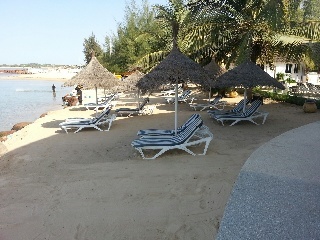 Royal Saly