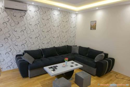 Apartman Gajic 2 Vrnjacka Banja