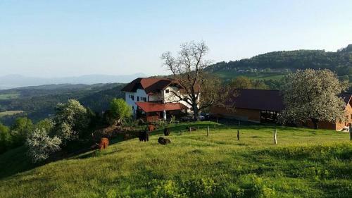 Agroturismo Turizem Gra?i?~gradi?nik