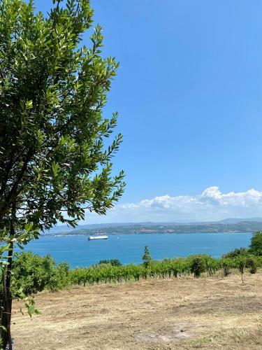 Vila Loralina - Izola - Direct Sea View