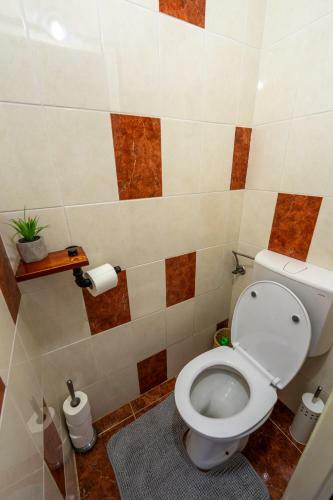 Apartment Vita
