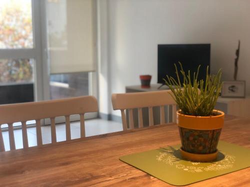 Apartamento Eg9