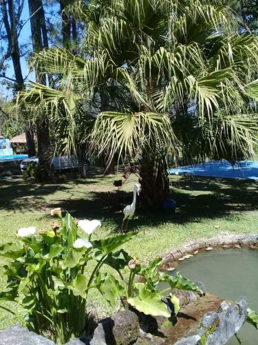 Hostal S�tio Canoas