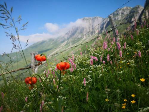 Apartamento Mountain Lodge Forte Emilia