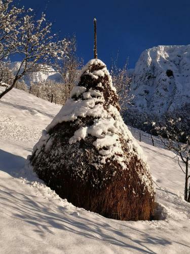 Apartamento Mountain Lodge Forte Emilia