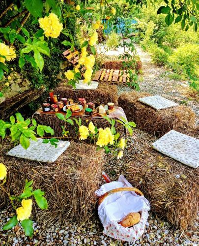 Agroturismo Krasberry Je?ev Brlog