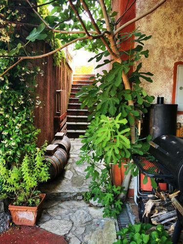 Agroturismo Krasberry Je?ev Brlog