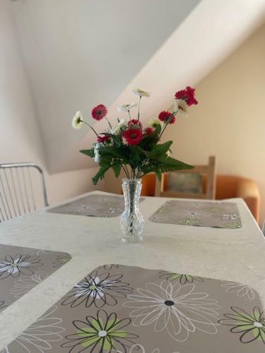 Apartm�n U ?oka
