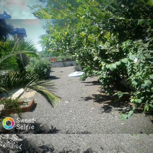 Bed & Breakfast Chacarra Estancia Margot