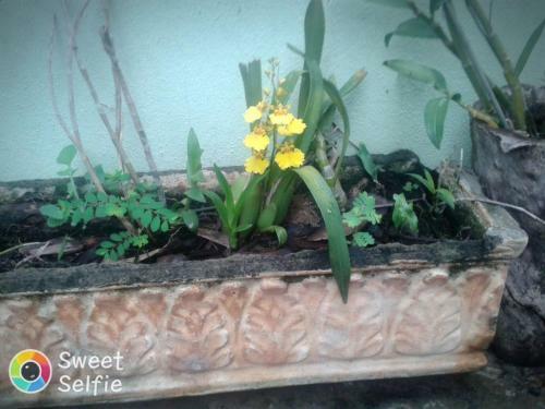 Bed & Breakfast Chacarra Estancia Margot