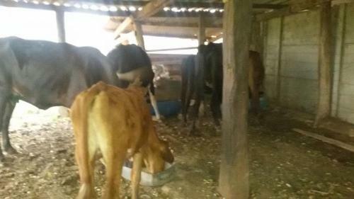 Bed & Breakfast Chacarra Estancia Margot