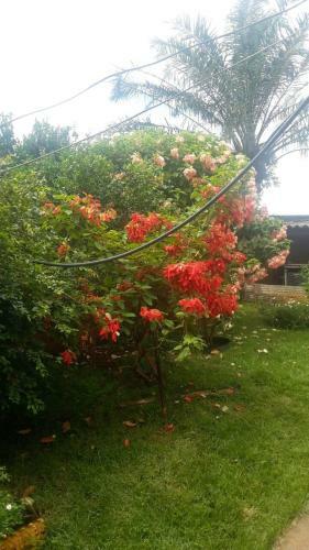 Bed & Breakfast Chacarra Estancia Margot
