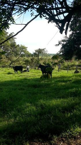 Bed & Breakfast Chacarra Estancia Margot