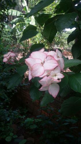 Bed & Breakfast Chacarra Estancia Margot