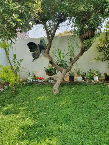 Bed & Breakfast Luxlucive Guest House