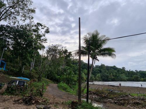 Bed & Breakfast Osa Corcovado Lodge