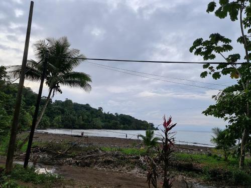 Bed & Breakfast Osa Corcovado Lodge