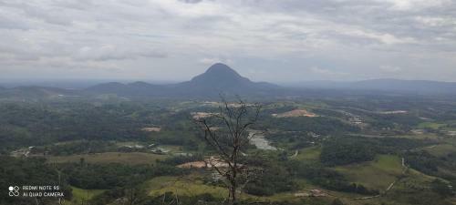 Selva Mayo