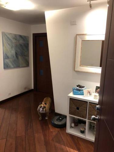 Beautiful Apartment With Large Garden...