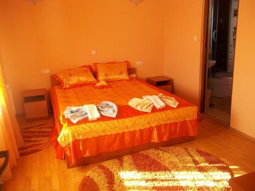 Hostal Pensiunea Georgiana