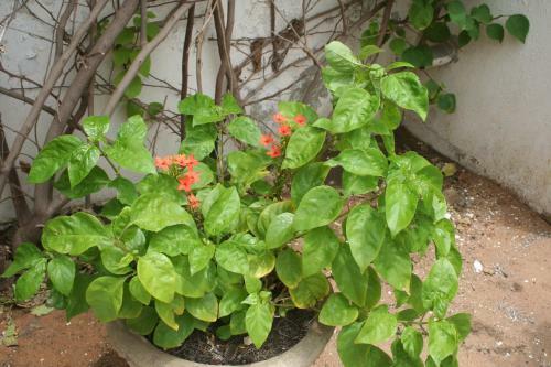 Albergue Auberge Keur Diame