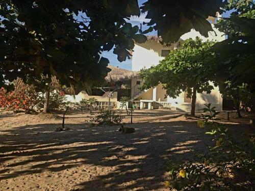 Location De Vacances Vue Sur Mer � Petite Plage