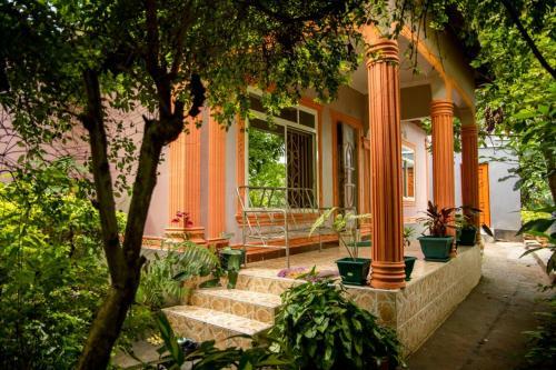 Bed & Breakfast Avocado Tree House