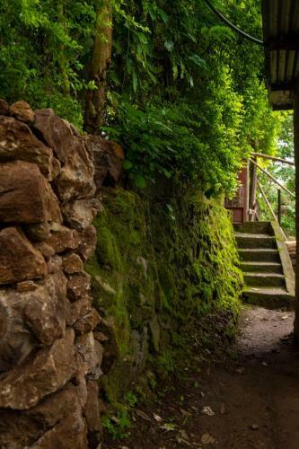 Bed & Breakfast Avocado Tree House