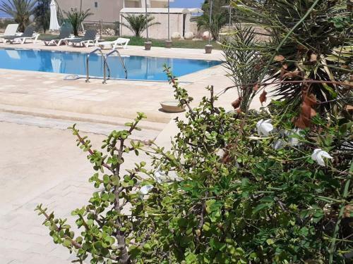 Apartamento Tiba Home