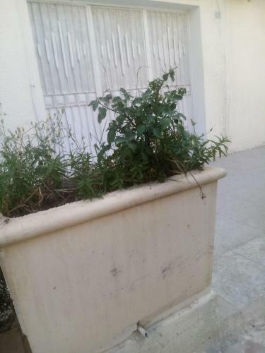 Apartamento Nasr