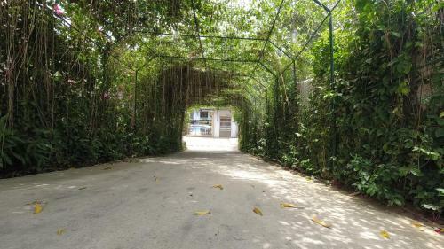 Hotel Ilawoods Resort And Sanctuary By Cocotel
