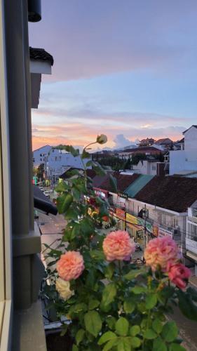 Hotel Savio House
