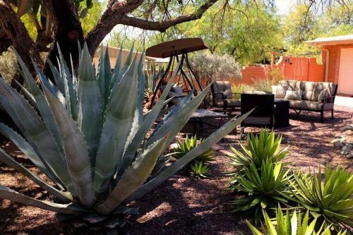 Casa Saguaro - Newly Remodeled, Pool And Mtn Views