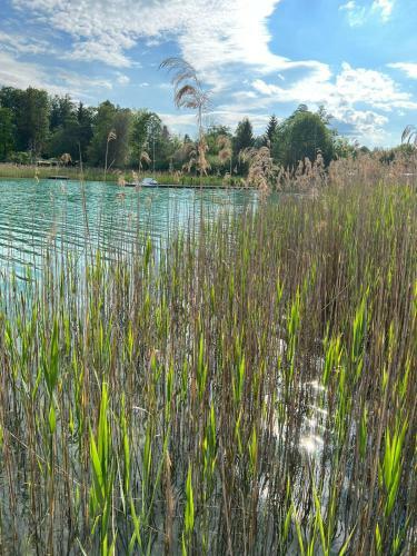 Apartamento Ferienwohnung Am Mattsee