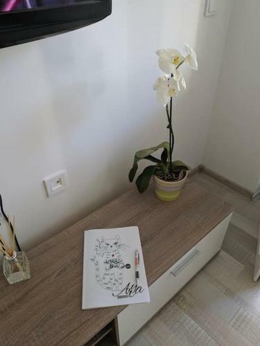 Yani's Apartment