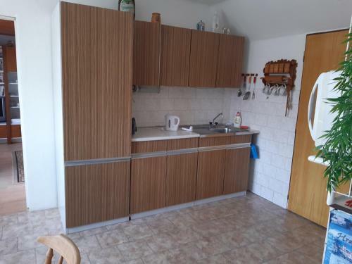Apartm�n V Rodinn�m Dom?