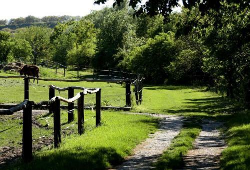 Hostal Penzion Starovice