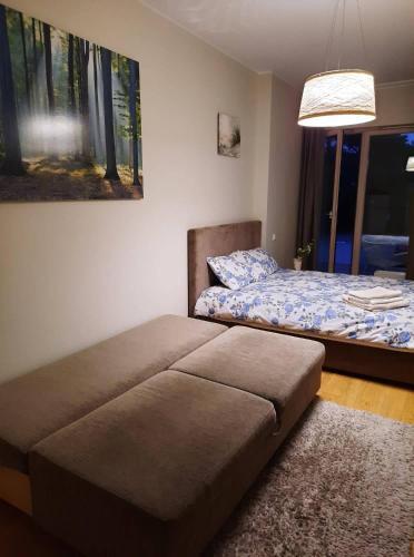 Kena Terrassiga Apartement Aisa 39