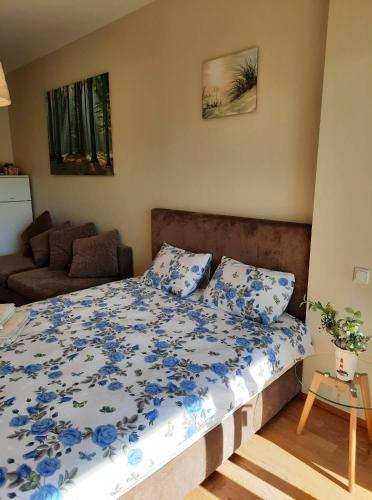 Kena Terrassiga Apartement Aisa 39