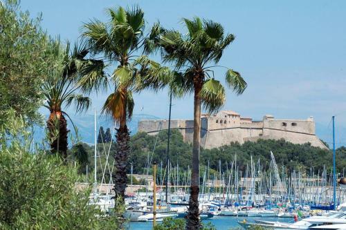 Apartamento Superbe Appartement Juan Les Pins 100m Mer