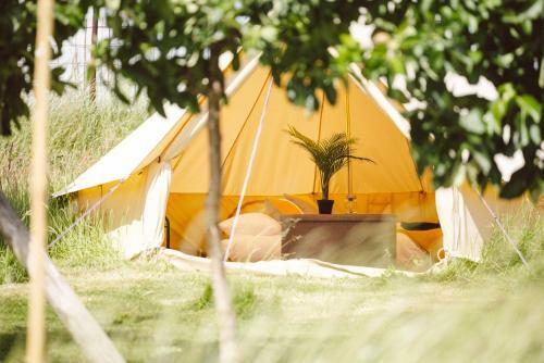Woolton Farm - Fruit Garden Bell Tents