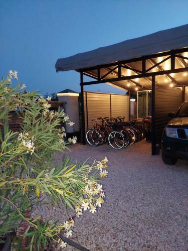 Apartamento F�ldi Paradicsom Vend�gh�z