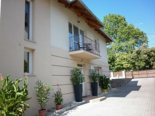 Hostal Luxury Villa Heviz