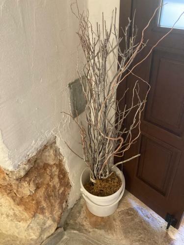 Apartman Kameni Zid