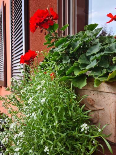 Apartamento Vila ?ventoji