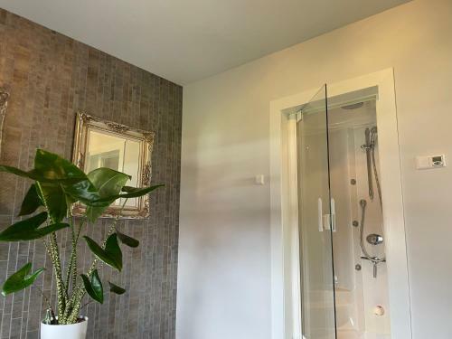 Droomvakanties Egmond B&B Nummer 8