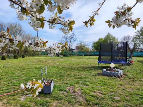 Apartament Domowe Zacisze