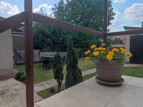 Apartman Nedeljkovic
