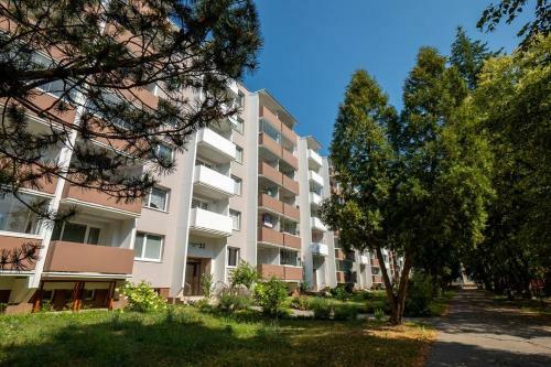 Excellent Large Lux Apartment Central Martin