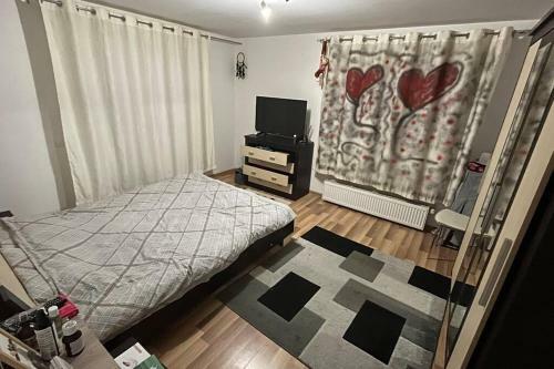 Big&cozy (8-12 People) Apartm. For Untold In Cluj